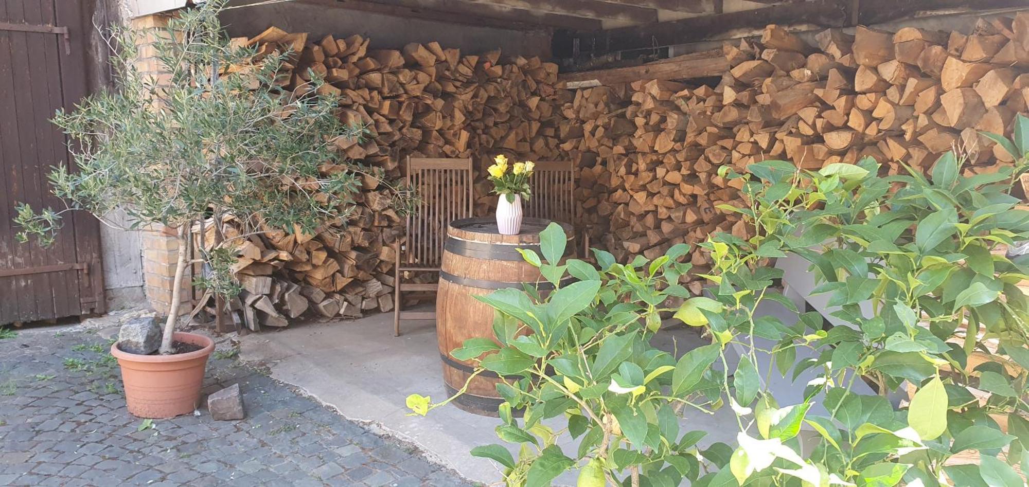 Gaestehaus Ringhof Florsheim-Dalsheim Eksteriør billede
